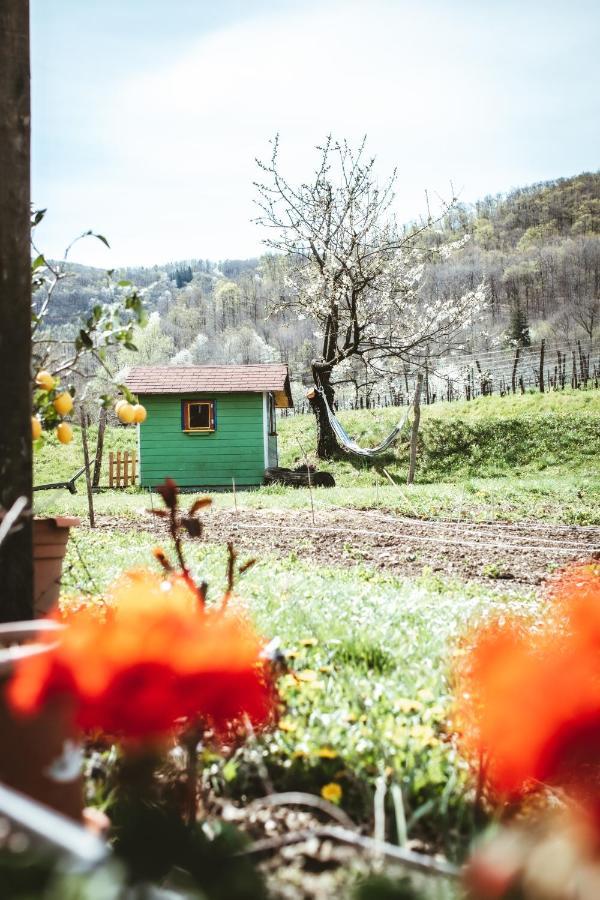 Apartma Moser Podnanos Екстериор снимка