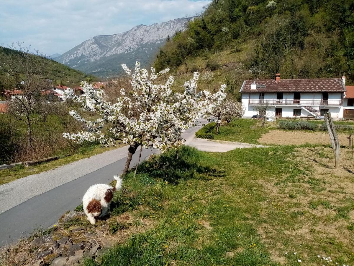 Apartma Moser Podnanos Екстериор снимка